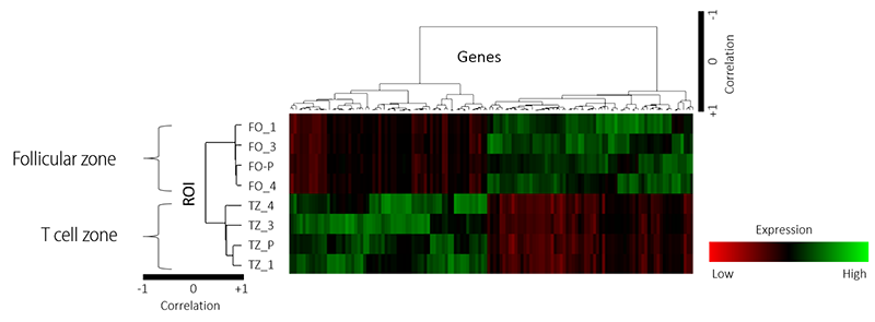 RNA-seq and differential expression analysis on tissue micro-regions