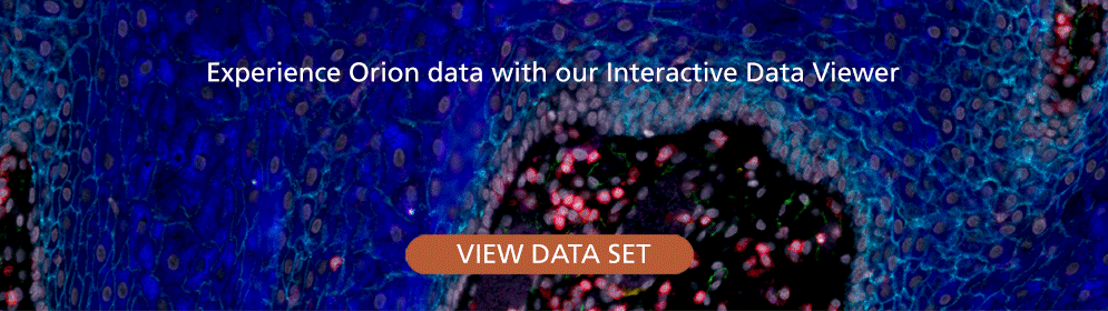 View an interactive data set